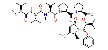 Dolastatin 15